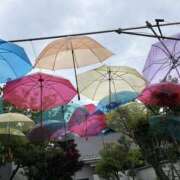 ヒメ日記 2026/06/08 20:04 投稿 りりか Respect