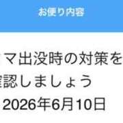 ヒメ日記 2026/06/10 16:08 投稿 りりか Respect
