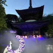 ヒメ日記 2026/07/15 20:39 投稿 りりか Respect
