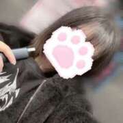 ヒメ日記 2026/01/20 22:52 投稿 みと スピードエコ難波店