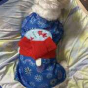 ヒメ日記 2025/06/18 18:26 投稿 はな ヴィヴィッド・クルーマダム・セカンドヴァージン十三店