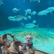 ヒメ日記 2025/11/13 10:57 投稿 はな ヴィヴィッド・クルーマダム・セカンドヴァージン十三店