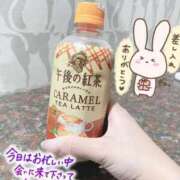 ヒメ日記 2025/12/14 23:58 投稿 つばき 新妻物語