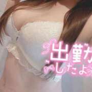 ヒメ日記 2025/06/29 16:19 投稿 ひめか 香川高松ちゃんこ