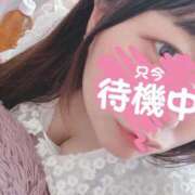 ヒメ日記 2025/07/13 16:09 投稿 ひめか 香川高松ちゃんこ