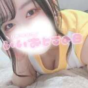 ヒメ日記 2025/11/05 17:09 投稿 ひめか 香川高松ちゃんこ