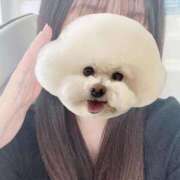 ヒメ日記 2025/08/09 06:52 投稿 らいむ ときめき純情ロリ学園～東京乙女組 新宿校