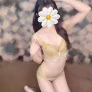 ヒメ日記 2025/11/21 17:14 投稿 いずみ デリス新宿