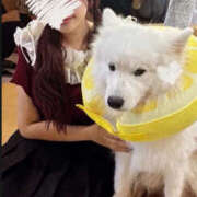 ヒメ日記 2025/08/20 16:36 投稿 あん アイドルリーグ