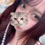 ヒメ日記 2026/04/14 19:01 投稿 あん アイドルリーグ