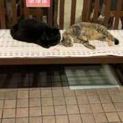 ヒメ日記 2025/06/07 20:49 投稿 琴音(ことね) チューリップ宇都宮店