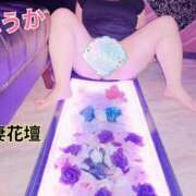 ヒメ日記 2026/08/29 20:44 投稿 ふうか モアグループ神栖人妻花壇