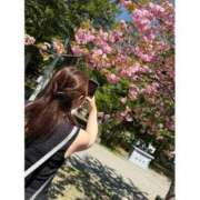 手塚ゆこ 出勤です🌸 お姉さんCLUB