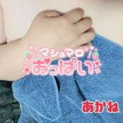 ヒメ日記 2025/05/26 23:35 投稿 あかね 栃木宇都宮ちゃんこ