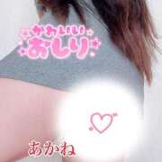 ヒメ日記 2025/05/27 21:05 投稿 あかね 栃木宇都宮ちゃんこ