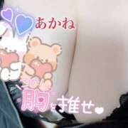 ヒメ日記 2025/06/01 09:35 投稿 あかね 栃木宇都宮ちゃんこ