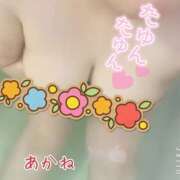 ヒメ日記 2025/06/03 21:15 投稿 あかね 栃木宇都宮ちゃんこ