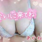 ヒメ日記 2025/06/13 12:18 投稿 あかね 栃木宇都宮ちゃんこ