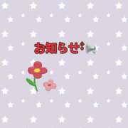 ヒメ日記 2025/08/14 12:25 投稿 あかね 栃木宇都宮ちゃんこ