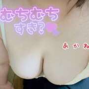 ヒメ日記 2025/09/09 21:25 投稿 あかね 栃木宇都宮ちゃんこ