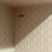 ヒメ日記 2025/09/15 12:26 投稿 乃阪　もか☆がヤバ可愛すぎる件 愛ドル学園　☆制服着たまま部☆