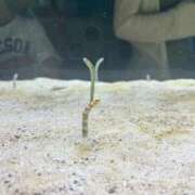 ヒメ日記 2025/11/28 13:46 投稿 乃阪　もか☆がヤバ可愛すぎる件 愛ドル学園　☆制服着たまま部☆