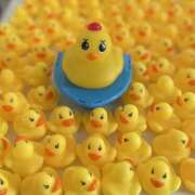 ヒメ日記 2025/06/28 21:49 投稿 みつき 迷宮の人妻 古河・久喜発