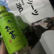 ヒメ日記 2026/02/28 05:29 投稿 みつき 迷宮の人妻 古河・久喜発