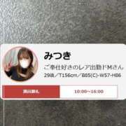 ヒメ日記 2026/03/11 13:49 投稿 みつき 迷宮の人妻 古河・久喜発