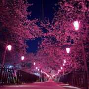 ヒメ日記 2026/04/03 08:19 投稿 みつき 迷宮の人妻 古河・久喜発