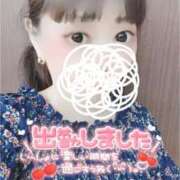 ヒメ日記 2025/05/13 18:03 投稿 ひかる☆ 豊橋豊川ちゃんこ