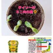 ヒメ日記 2025/06/08 12:22 投稿 ひかる☆ 豊橋豊川ちゃんこ