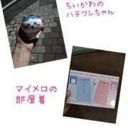 ヒメ日記 2025/07/13 03:00 投稿 ひかる☆ 豊橋豊川ちゃんこ