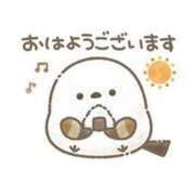 ヒメ日記 2025/07/13 12:04 投稿 ひかる☆ 豊橋豊川ちゃんこ