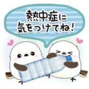 ヒメ日記 2025/07/14 13:26 投稿 ひかる☆ 豊橋豊川ちゃんこ