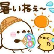 ヒメ日記 2025/07/15 13:02 投稿 ひかる☆ 豊橋豊川ちゃんこ