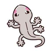 ヒメ日記 2025/08/24 12:42 投稿 ひかる☆ 豊橋豊川ちゃんこ