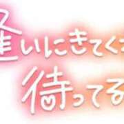 ヒメ日記 2025/09/07 16:09 投稿 ひかる☆ 豊橋豊川ちゃんこ