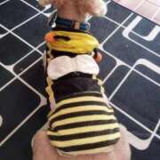 ヒメ日記 2025/10/02 15:02 投稿 ひかる☆ 豊橋豊川ちゃんこ