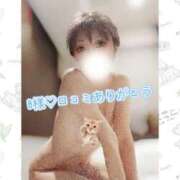 ヒメ日記 2025/10/09 20:22 投稿 ひかる☆ 豊橋豊川ちゃんこ