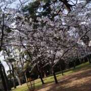 ヒメ日記 2026/04/03 09:12 投稿 ひかる☆ 豊橋豊川ちゃんこ