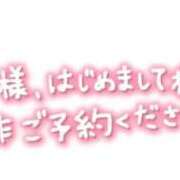ヒメ日記 2026/04/12 19:12 投稿 ひかる☆ 豊橋豊川ちゃんこ