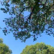 このあ☆未経験超可愛い清楚ぴゅあ こんにちはあせらずおしごと☀️ PREMIUM萌え可愛いチョコレート～全てのステージで感動の体験を～