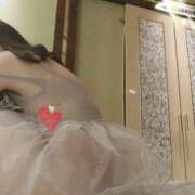 ヒメ日記 2025/11/07 19:30 投稿 真鍋【まなべ】 丸妻 西船橋店