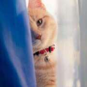 ヒメ日記 2026/02/13 19:46 投稿 真鍋【まなべ】 丸妻 西船橋店