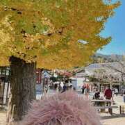 ヒメ日記 2025/07/18 17:53 投稿 吉野みはる 厚木OL委員会