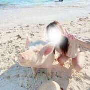 吉野みはる 出勤🐽🐷🐽 厚木OL委員会