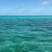 ヒメ日記 2026/04/18 20:43 投稿 吉野みはる 厚木OL委員会