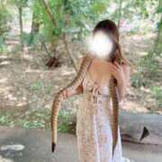 ヒメ日記 2026/04/19 15:33 投稿 吉野みはる 厚木OL委員会