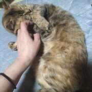 ヒメ日記 2025/08/07 08:30 投稿 柚木ほのか 横浜プロダクション